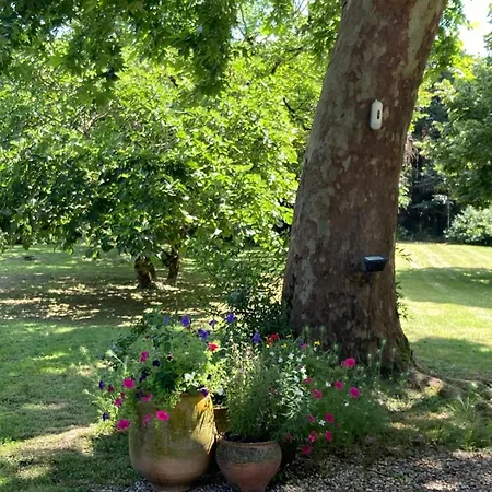 Namiel - Maison De Vacances, Piscine, Loisirs Apartmán *